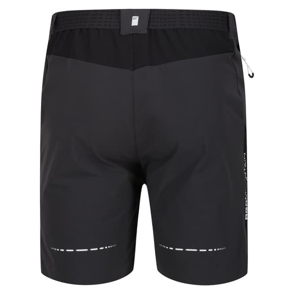Regatta Mountain II Shorts til mænd