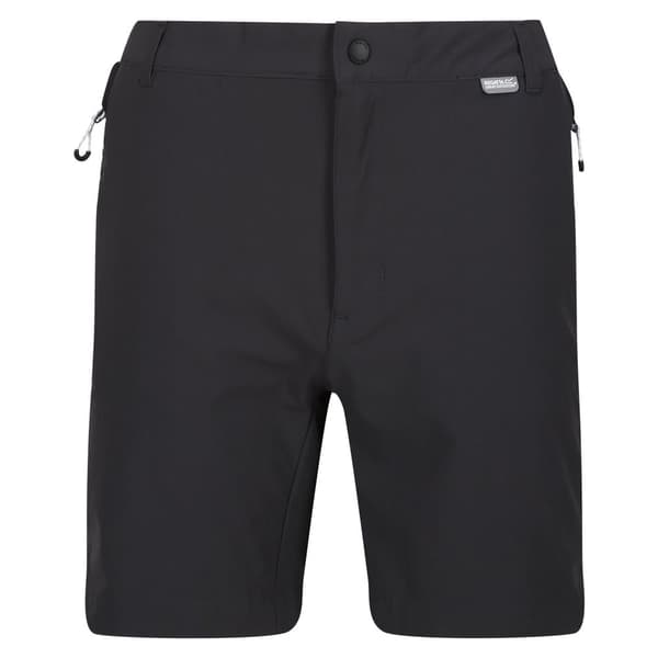 Regatta Mountain II Shorts til mænd