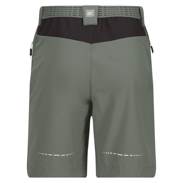 Regatta Mountain II Shorts til mænd
