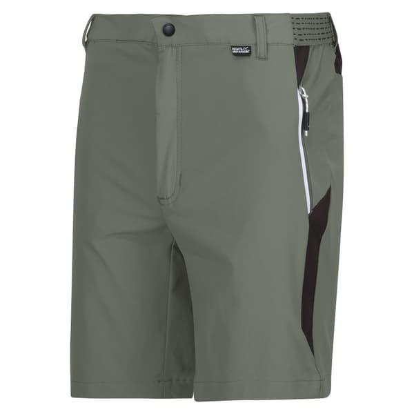 Regatta Mountain II Shorts til mænd