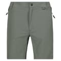 Miniatyrbilde 1 av 3: Regatta Mens Mountain II Shorts