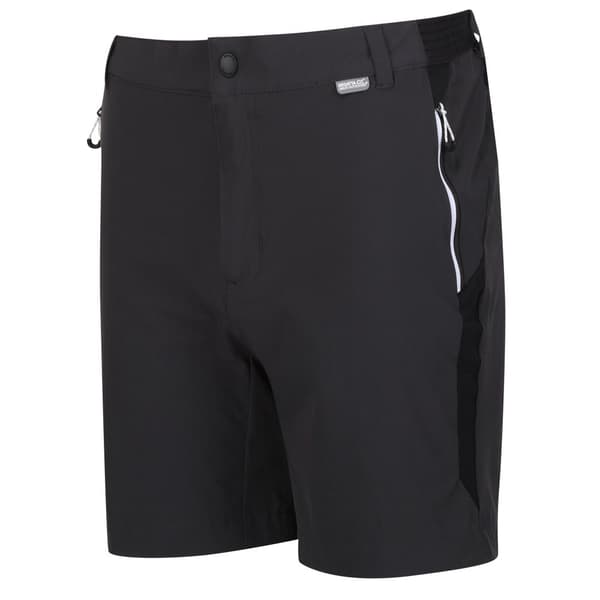 Regatta Mountain II Shorts til mænd