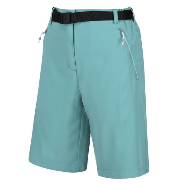 Regatta Womens/Ladies Xert Stretch Shorts