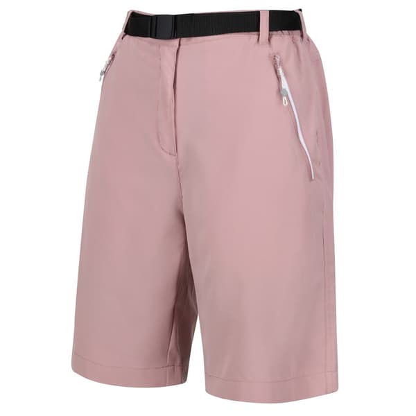 Regatta Womens/Ladies Xert Stretch Shorts