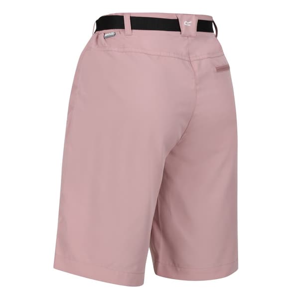Regatta Womens/Ladies Xert Stretch Shorts