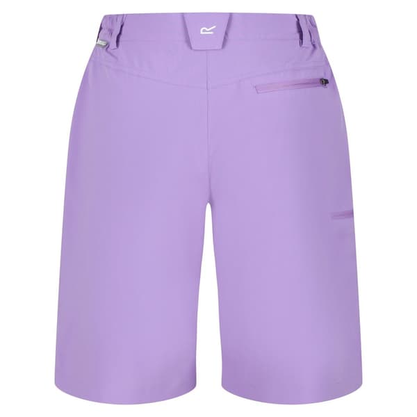 Regatta Womens/Ladies Xert Stretch Shorts