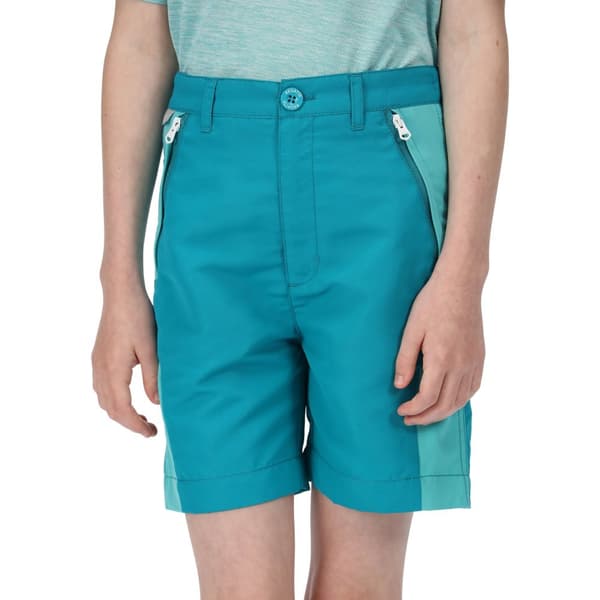 Regatta Børn/Børn Sorcer II Mountain Shorts
