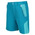 Miniatyrbilde 3 av 5: Regatta Childrens/Kids Sorcer II Mountain Shorts