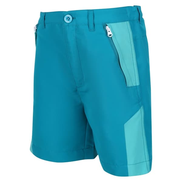 Regatta Childrens/Kids Sorcer II Mountain Shorts