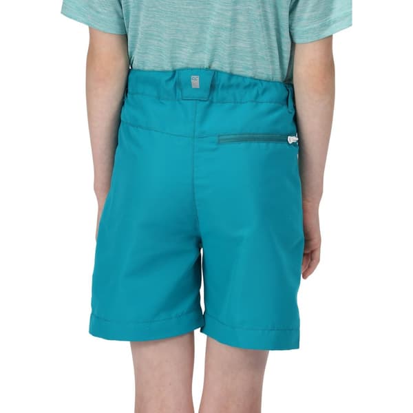Regatta Childrens/Kids Sorcer II Mountain Shorts