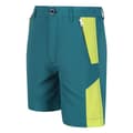 Miniatyrbilde 3 av 5: Regatta Childrens/Kids Sorcer II Mountain Shorts