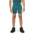 Miniatyrbilde 4 av 5: Regatta Childrens/Kids Sorcer II Mountain Shorts