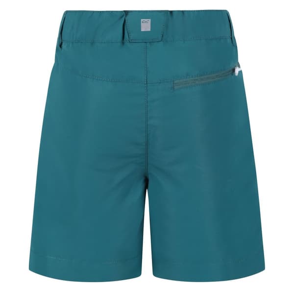 Regatta Childrens/Kids Sorcer II Mountain Shorts