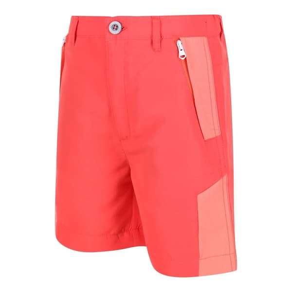 Regatta Børn/Børn Sorcer II Mountain Shorts