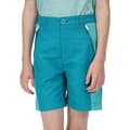 Miniatyrbilde 4 av 5: Regatta Childrens/Kids Sorcer II Mountain Shorts