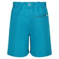 Miniatyrbilde 2 av 5: Regatta Childrens/Kids Sorcer II Mountain Shorts