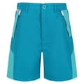 Miniatyrbilde 1 av 5: Regatta Childrens/Kids Sorcer II Mountain Shorts