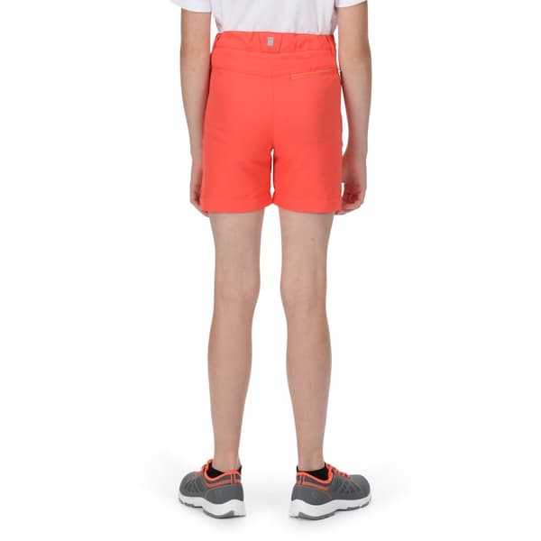 Regatta Børn/Børn Sorcer II Mountain Shorts