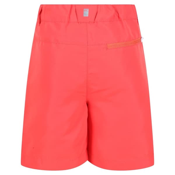 Regatta Børn/Børn Sorcer II Mountain Shorts