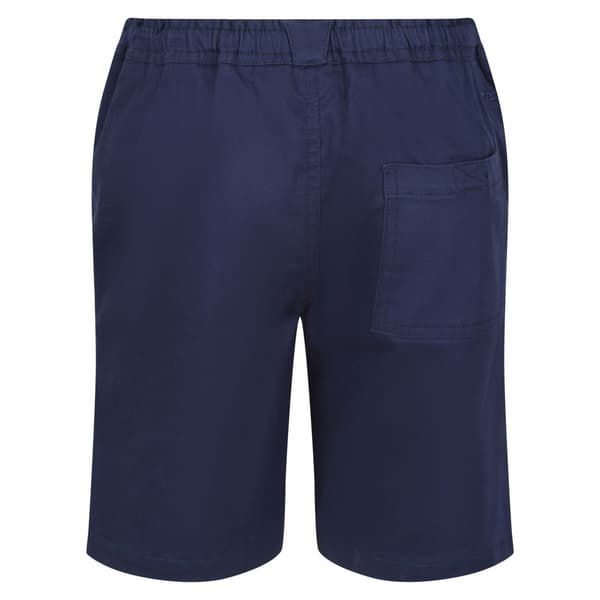 Regatta Barn/Kids Alber Ottoman Shorts