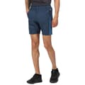 Miniatyrbillede 1 af 2: Regatta Highton Pro Shorts til mænd