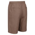 Miniatyrbilde 4 av 5: Regatta Mens Etonbury Casual Shorts