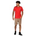 Miniatyrbilde 5 av 5: Regatta Mens Etonbury Casual Shorts