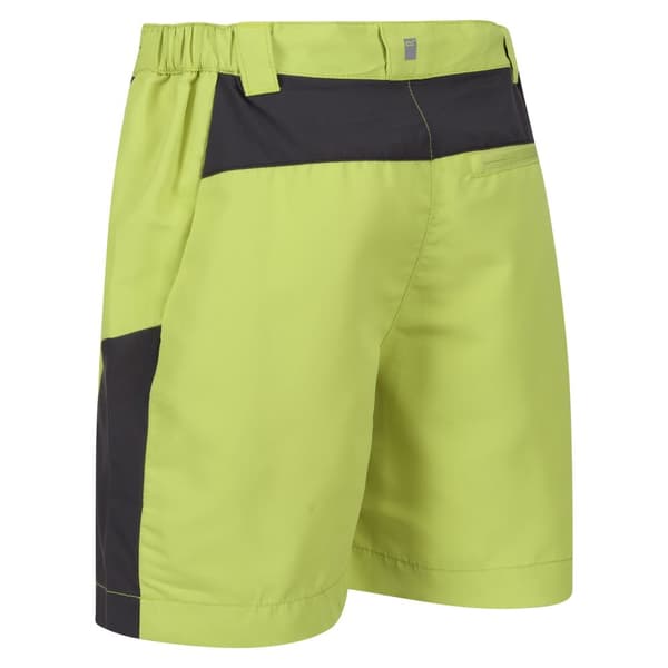 Regatta Childrens/Kids Sorcer Mountain III Shorts