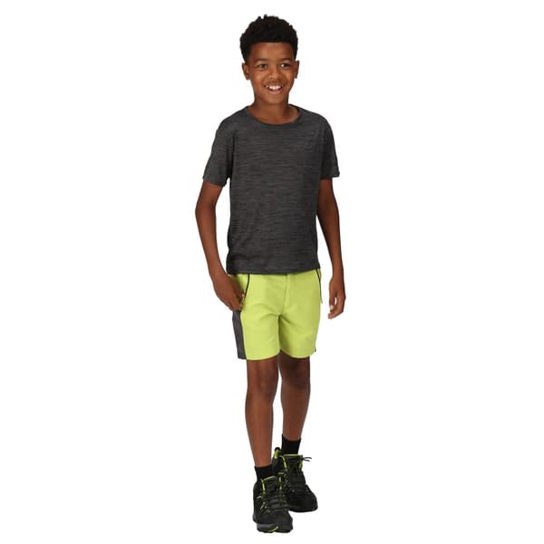 Regatta Childrens/Kids Sorcer Mountain III Shorts
