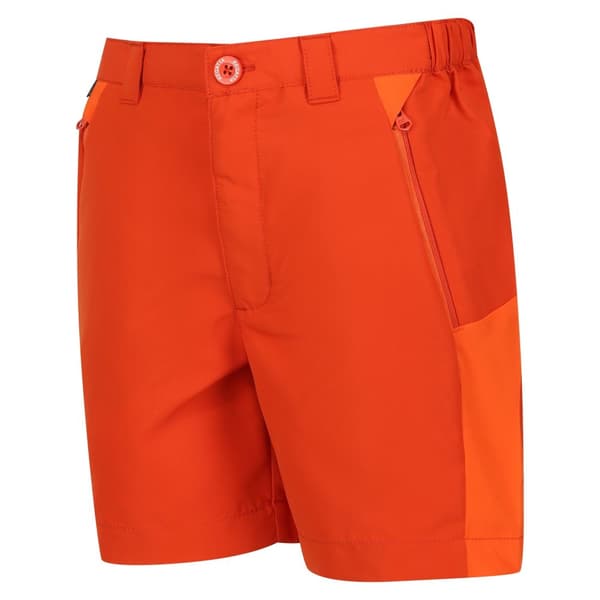 Regatta Childrens/Kids Sorcer Mountain III Shorts