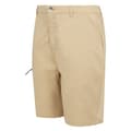Miniatyrbilde 3 av 4: Regatta Mens Dalry Multi Pocket Shorts