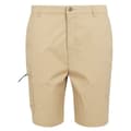 Miniatyrbilde 1 av 4: Regatta Mens Dalry Multi Pocket Shorts