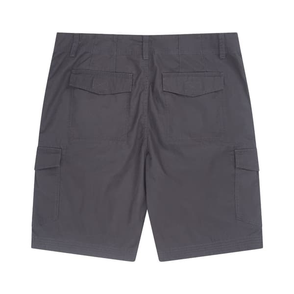 Animal Atlantis Organic Cargo Shorts för herrar