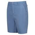 Miniatyrbillede 3 af 3: Regatta Mens Sabden Chino Shorts