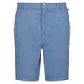 Miniatyrbillede 1 af 3: Regatta Mens Sabden Chino Shorts
