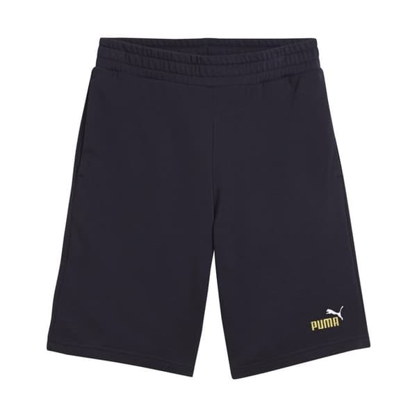 Kort Puma No. 1 10"