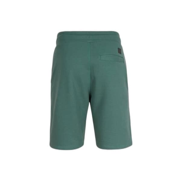 O'Neill Essential Shorts - blå - L