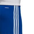 Miniatyrbillede 4 af 4: adidas Squadra 21 Shorts GK9153, Mand, Shorts, Blå