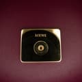 Miniatyrbild 9 av 10: Pre-owned LOEWE Goya Long Shoulder Bag Red