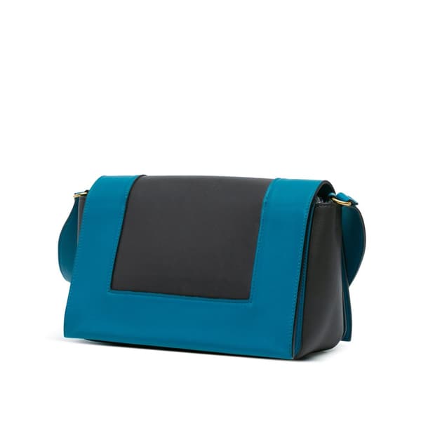 Pre-owned Celine Leather Frame Shoulder Bag Black