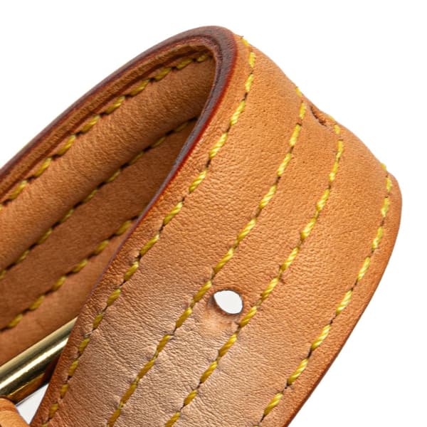 Pre-owned Louis Vuitton Monogram Viva Cite MM Brown