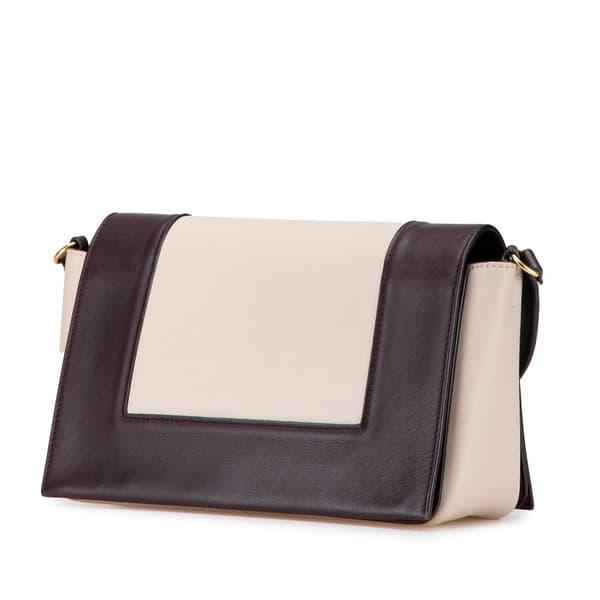 Pre-owned Celine Medium Shiny Smooth Calfskin Frame Shoulder Bag Brown