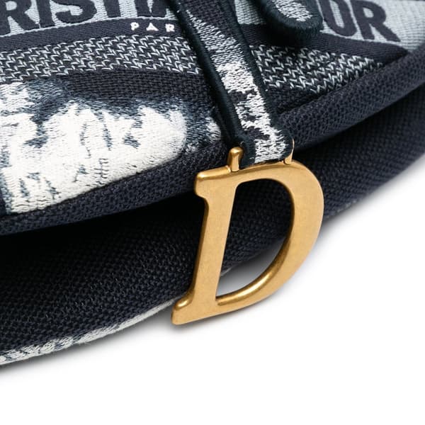Pre-owned Dior Canvas Embroidered Tie Dye Saddle Bag Black