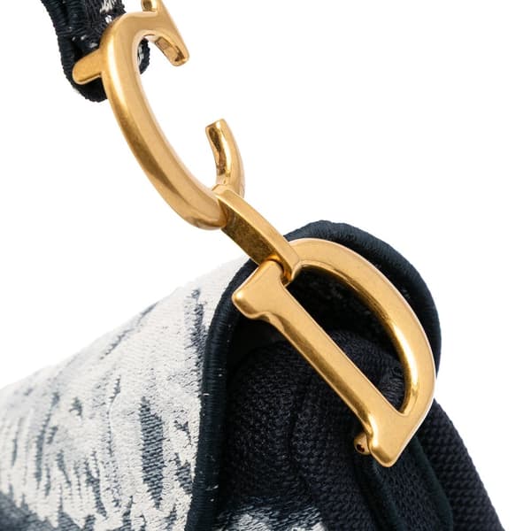 Pre-owned Dior Canvas Embroidered Tie Dye Saddle Bag Black