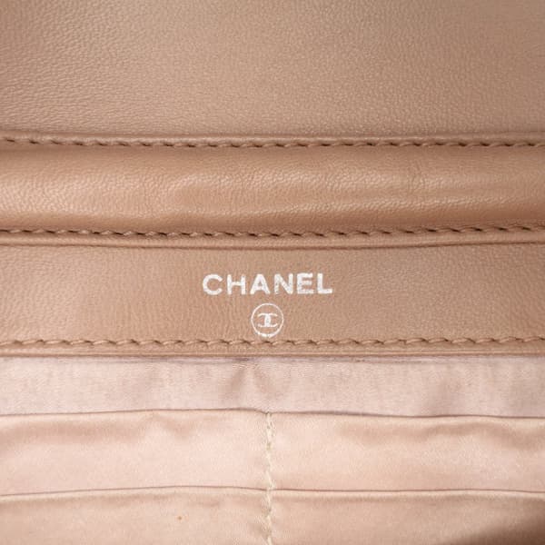 Pre-owned Chanel New Travel Line Nylon Wallet On Chain Brown