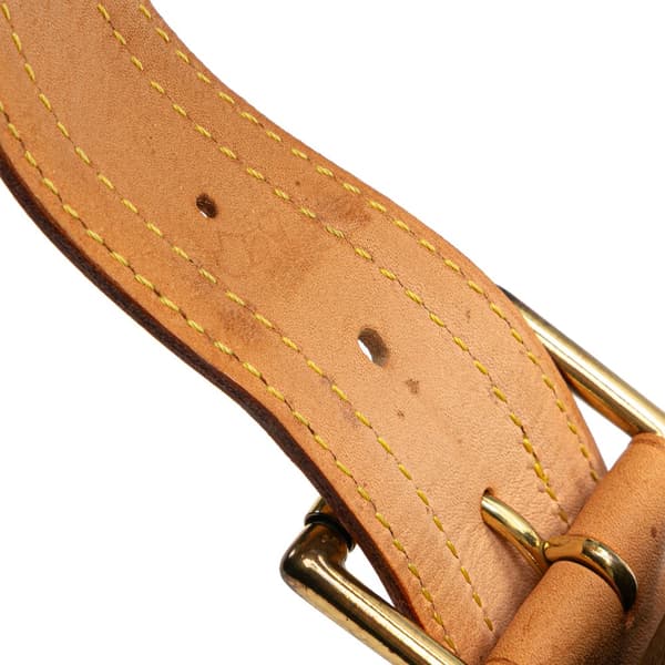 Pre-owned Louis Vuitton Monogram Viva Cite GM Brown