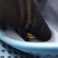 Miniatyrbild 6 av 10: Pre-owned Chanel Medium Perforated Calfskin Up In The Air Flap Blue