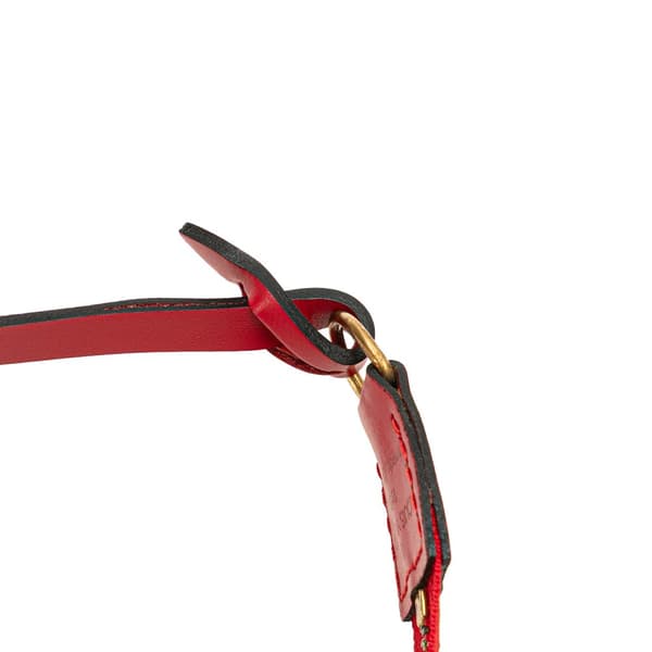 Pre-owned Louis Vuitton Epi Pochette Accessoires Red