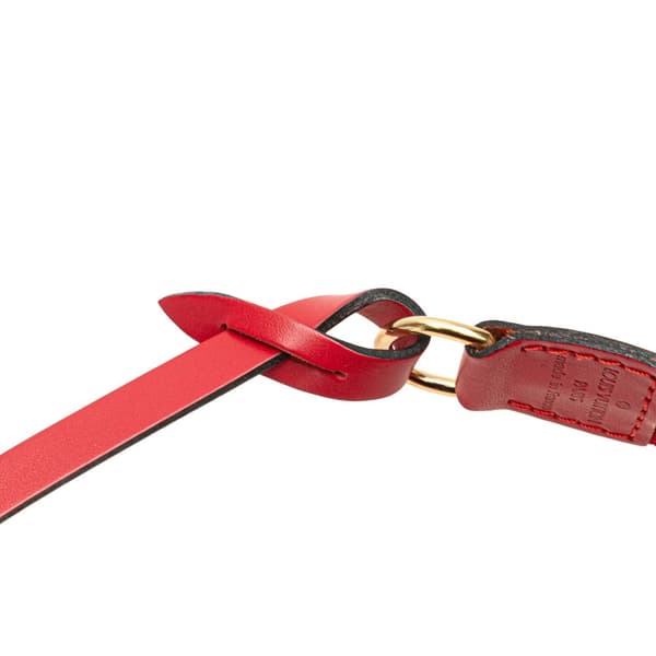 Pre-owned Louis Vuitton Epi Pochette Accessoires Red