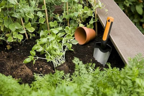 FISKARS PREMIUM SKODEL